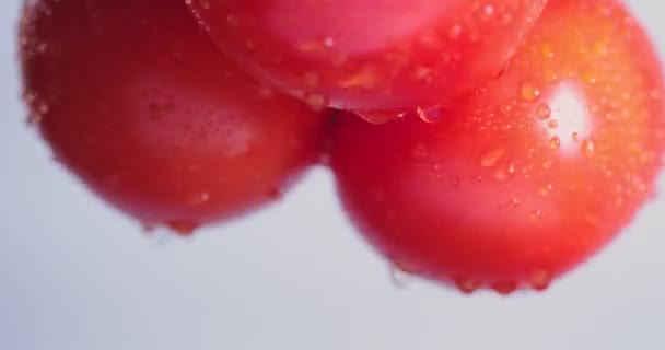Närbild video av roterande naturliga bio ekologiska tomater gren täckt vattendroppar, grönsaker vitaminer — Stockvideo