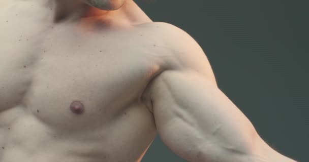 Atlético nu muscular homem mostrando bíceps e tríceps mão músculos, close up vídeo — Vídeo de Stock
