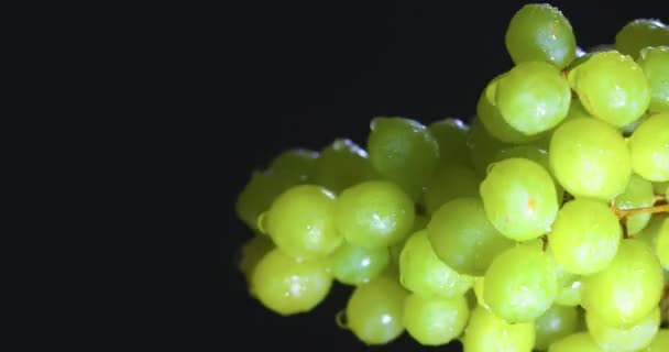 Vídeo vertical. Uvas vid cubierto gotas de agua, vitaminas de la fruta, concepto de alimentación saludable. Elaboración de vinos y viticultura — Vídeo de stock