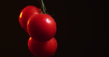 Domates dalının kapalı video kapalı Parlak su damlaları dönüşümlü, sebze vitaminleri, sağlıklı yeme konsepti