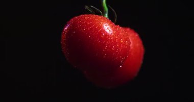 Siyah stüdyo arka planında su damlalarını ve sebze vitaminlerini kapsayan domates dalının dönen videosunu kapat