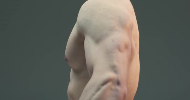Αρσενικοί μύες χεριών. Αθλητής αθλητικός τύπος με γυμνό κορμό σηκώνει το χέρι δείχνοντας γυμνασμένο δυνατό σώμα. Κλείσιμο βίντεο 4K — Αρχείο Βίντεο