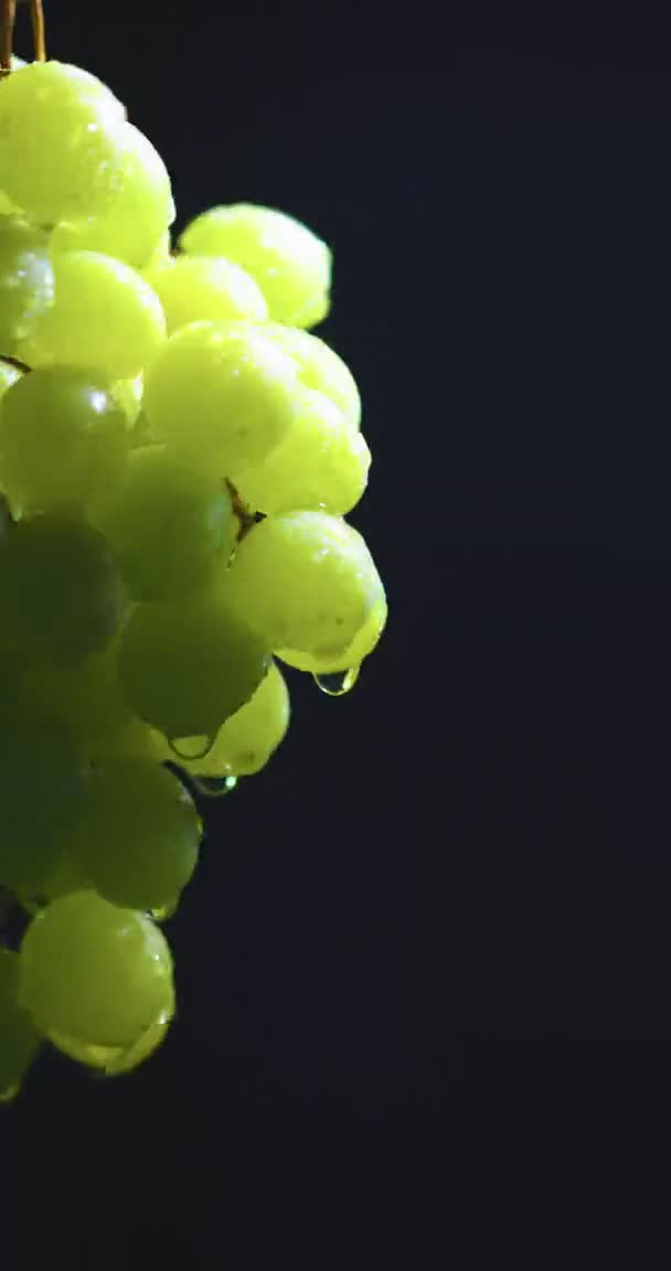 Vídeo vertical. Uvas naturales giratorias vid cubierto gotas de agua, vitaminas de la fruta, concepto de alimentación saludable — Vídeos de Stock