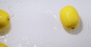 Suyun içinde su sıçratan limonlar, beyaz stüdyo arka planında doğal meyve sitronu, vitaminler ve sağlıklı yiyecekler.