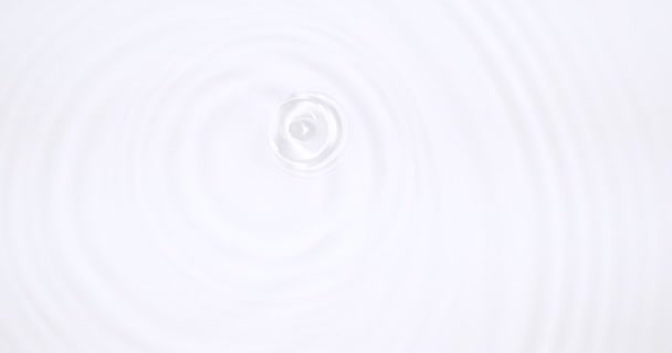 Top view of drop falls into water and diverging circles of water on white background — Stock Video