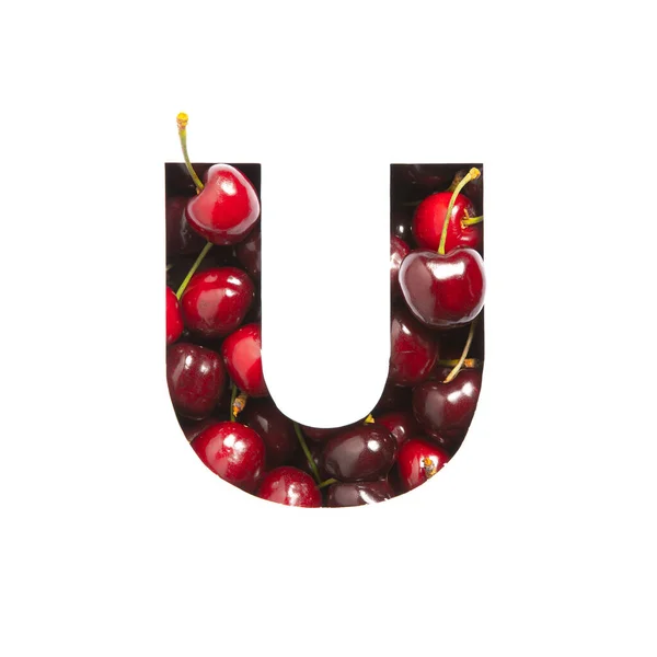 Kirschen-Alphabet. Buchstabe U aus roten Beeren und Papier isoliert auf weiß geschnitten. Schrift für festliche Gestaltung — Stockfoto