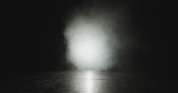 Pełen wdzięku balet tancerka skacząca tańcząc z dymem w świetle reflektorów na scenie teatralnej. Sylwetka baleriny — Wideo stockowe