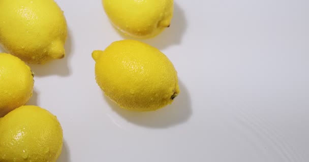 Limões amarelos deitados na água, citron de frutas naturais no fundo do estúdio branco, vitaminas e conceito de alimentação saudável — Vídeo de Stock