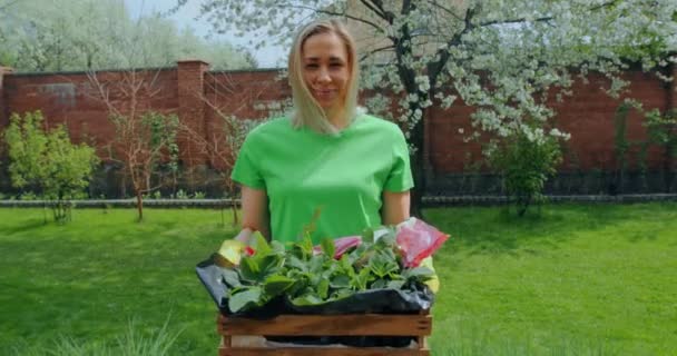 Χαρούμενη νεαρή κηπουρός που μεταφέρει ξύλινο κουτί με καλλιεργημένα φυτά στον ανθισμένο κήπο της άνοιξης — Αρχείο Βίντεο