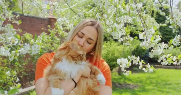 Pretty young girl cuddling furry pet ginger purebred maine coon fluffy cat in blooming springtime garden. Best friends — Stock Video