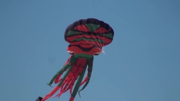 巨型风筝 — 图库视频影像