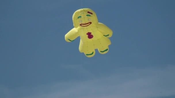 巨型风筝 — 图库视频影像