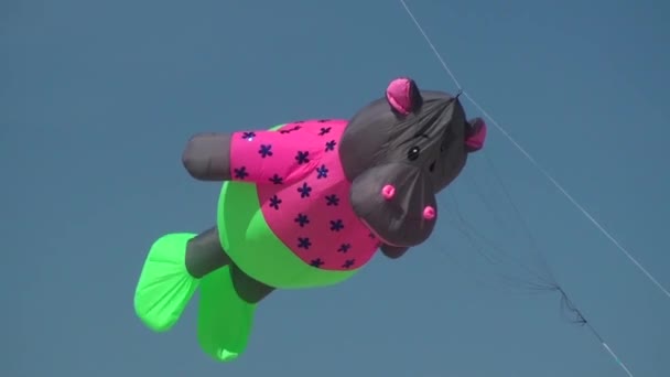 Giant kite — Stock Video