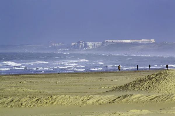 Ceață de mare pe Canalul Mânecii din Franța — Fotografie, imagine de stoc