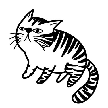 Şirin kedi dinleniyor..