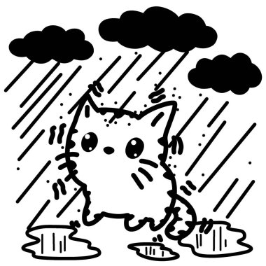 Sokak kedileri yağmur yağdığında soğuk ve yağmurlu koşullara dayanarak zor bir hayat sürerler..