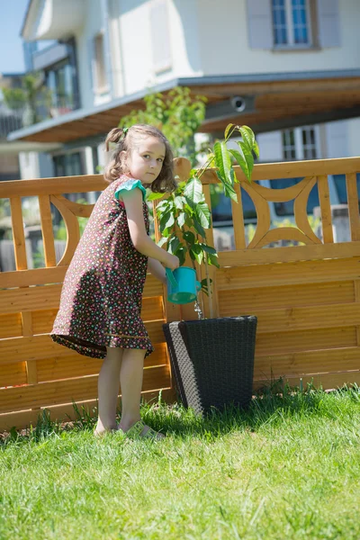 Malá dívka zalévání rostlin — Stock fotografie