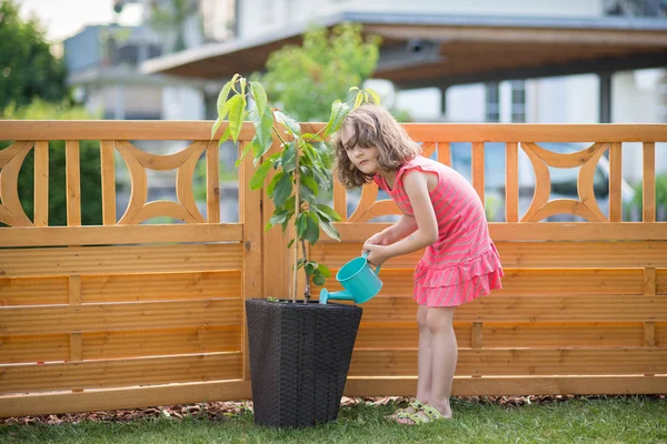 Malá dívka zalévání rostlin — Stock fotografie