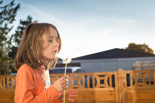 Little girl blowing a dandelion — Stock Photo, Image