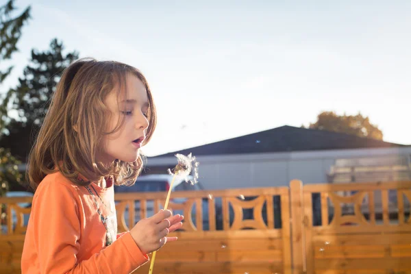 Little girl blowing a dandelion — Stock Photo, Image