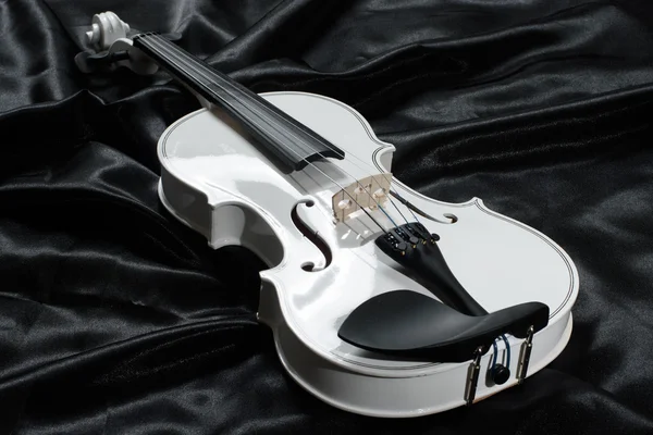 Photograph of a white violin — Stock Photo, Image