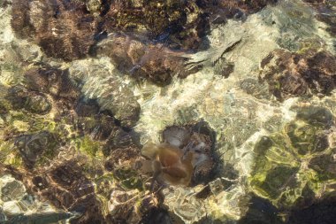 Okyanus tabanındaki soyut şekiller Malta 'daki Prajjet Körfezi' ndeki dalgalanmaların altında..