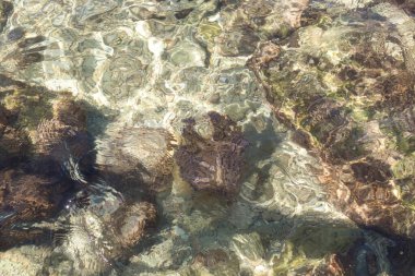 Sudaki dalgalanmalar, Malta Prajjet Körfezi 'nde okyanus tabanında soyut şekillere neden oluyor..