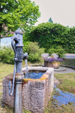 Su pompasından akan su, bir bahar günü Almanya 'nın Potabach kentindeki bir parkta çimlerin üzerine akar..