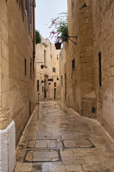 Yağmurlu Bir Günde Mdina Malta Küçük Geçitteki Binalar — Stok fotoğraf