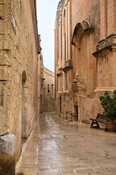 Pequeña Pasarela Entre Edificios Blancos Mdina Malta Día Lluvioso — Foto de Stock