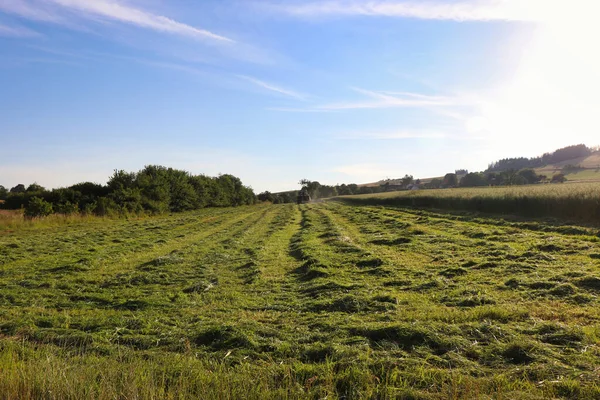 Trekker Rijdt Een Gewas Een Zomeravond Het Platteland Van Duitsland — Stockfoto