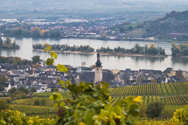 Rudesheim Rhein Řece Podzimním Dni Německu Jak Listy Vinicích Mění — Stock fotografie