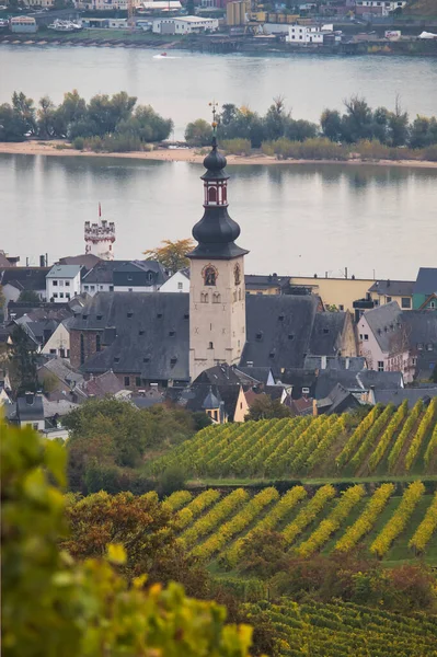 Svatý Jakobus Katolický Kostel Rudesheim Rhein Vedle Vinic Řeky Podzim — Stock fotografie