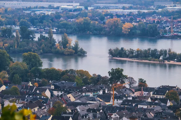 ドイツのルデハイム ラインに隣接するライン川の島々は 秋の日に — ストック写真