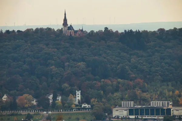 Rochuskapelle Une Église Entourée Arbres Sur Une Colline Bingen Allemagne — Photo