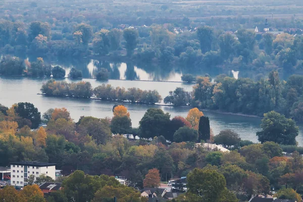 Insel Rhein Deutschland Einem Herbsttag — Stockfoto