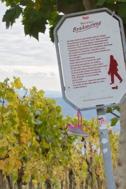 Almanya 'da Rudesheim am Rhein yakınlarındaki bir üzüm bağında yürüyüş yolunda asılı bir ayakkabı..