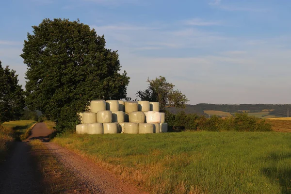 Balle Fieno Avvolte Plastica Impilate Campo Vicino Sentiero Nella Germania — Foto Stock