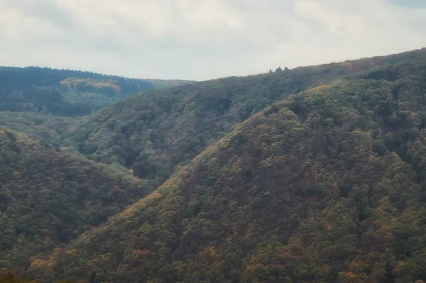 Ligne Jaune Descendant Une Colline Dans Vallée Rhin Allemagne Jour — Photo