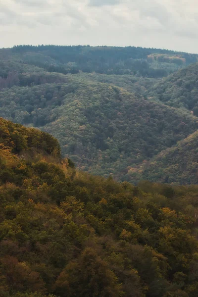 Folhas Coloridas Uma Floresta Alemã Dia Outono — Fotografia de Stock