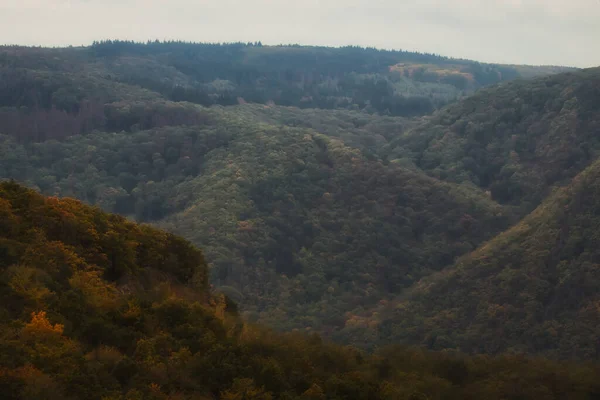 Krásné Hory Údolí Rýna Německu Oblačném Podzimním Dni — Stock fotografie