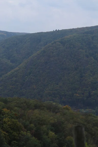 德国莱茵河流域一片漆黑的秋天 树木覆盖着群山 — 图库照片