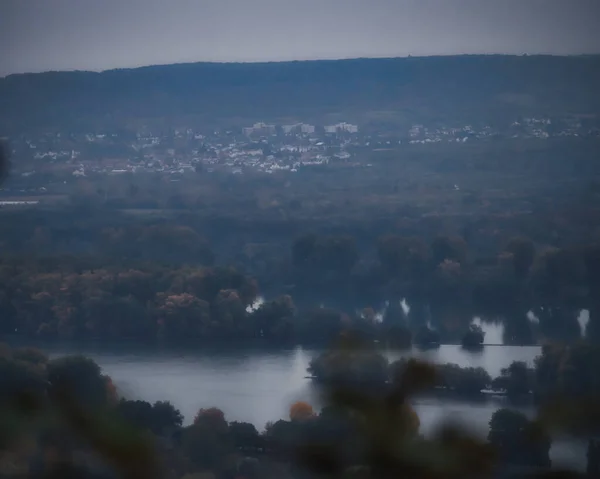 Fiume Reno Germania Giorno Nebbioso Autunno — Foto Stock