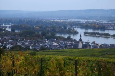 Rudesheim am Rhein, Almanya 'da sisli bir sonbahar akşamı. Bir tarafında Ren nehri, diğer tarafında da üzüm bağı var..