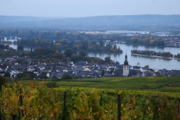 Foggy Soirée Automne Rudesheim Rhein Allemagne Avec Fleuve Rhin Côté — Photo