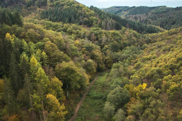 Walking path through the Palatinate Forest under the Geierlay Suspension Bridge near Hunsruck, Germany.