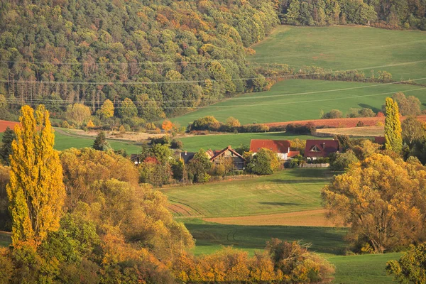 Pole Stromy Měnící Barvu Venkově Německo Falcku Slunném Podzimním Dni — Stock fotografie