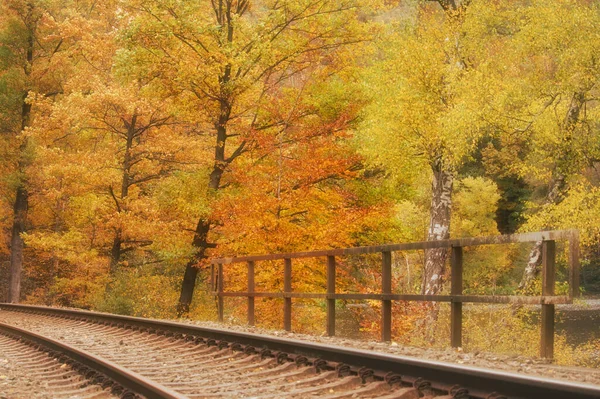 Bahngleise Walzweher Stausee Bei Kaiserslautern Einem Herbsttag Mit Leuchtend Orangen — Stockfoto