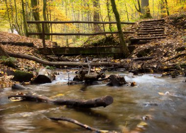 Almanya 'da bir sonbahar günü Karlstal Boğazı' ndaki köprünün altındaki derede enkaz var..