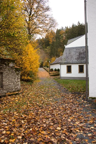 在朝圣教堂玛丽亚马滕塔尔 秋天的一天 在一条被落叶覆盖的小径旁边 树上长满了五彩缤纷的叶子 — 图库照片